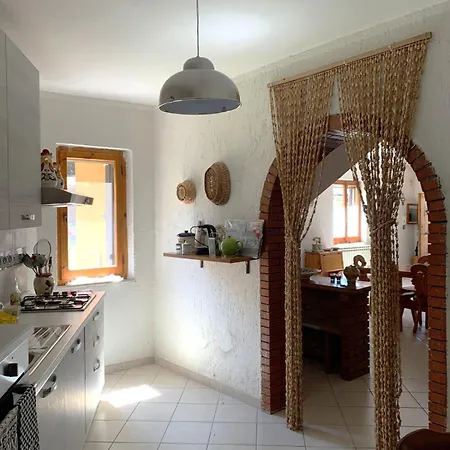 فيلة Collina