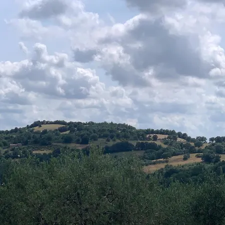 Collina * Sorano (Grosseto)