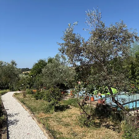 Collina Villa